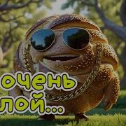 По Кличке Круглый