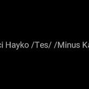 Hayko Tes