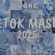 Tik Tok Mashup Clean February 2020