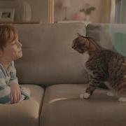 Реклама Коты В