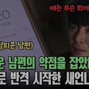 펨돔