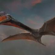 Pteranodon