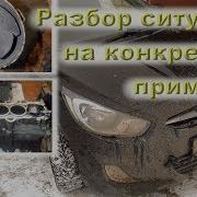 Дристня