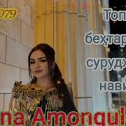 Нигина Амонкулова Мр3 2024