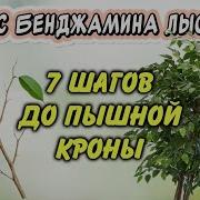 Антон Крн