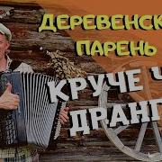 Андрей Кир Баянист