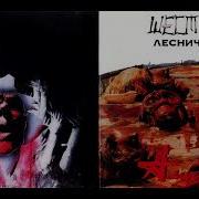 Шестой Лесничий Альбом