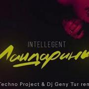 Intellegent Мандаринка Techno Project Dj Geny Tur Remix