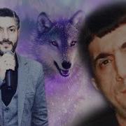 Viqar Sede Rovsen