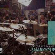 Snarky Puppy What About Me