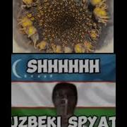 Тсссс Узбеки Спят