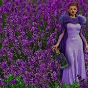 Ритмическая Музыка Для Души Без Слов