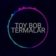 To Y Bob Terma 2020