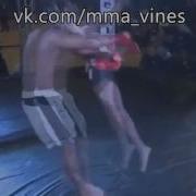 Mma Vine 7