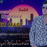 Кабки Масти Маст