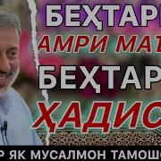 Шайхи Пурдил