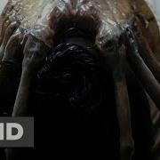 Xenomorph