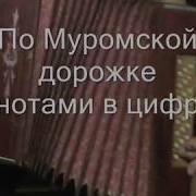 По Муромской Дорожке С Нотами В Цифрах