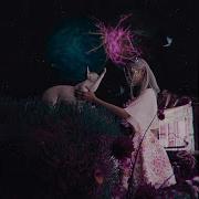 Flare 1 Hour Slowed