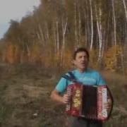 Ну Оставила Стая Среди Бурь И Метели