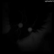 The Automotivo Infernal 1 0 Slowed