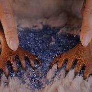 Asmr No Voice