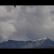 Аварские Песни Группа Эдельвейс