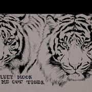 Velvet Moon Call Me Out Tiger Instrumental Version