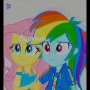 Clip Mlp