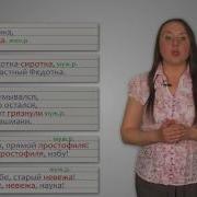 Уроки Русского Имена Существительные Общего Рода