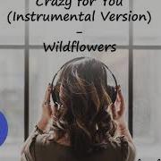 Crazy For You Instrumental Version Wildflowers No Copyright Music