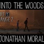 Ost Life Is Strange 2 Into The Woods