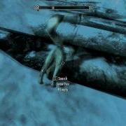 Skyrim Stuck Snow Fox