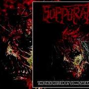 Suppuration Album