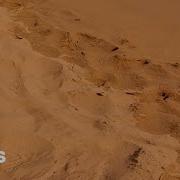 Bad Bunny Rauw Alejandro Party