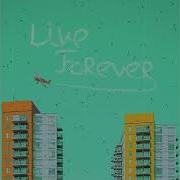 Stef Davidse Life Forever