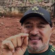 Selvagem