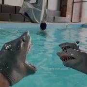Shark Puppet Yeah