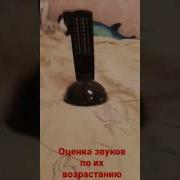 Звуки Бытовых Приборов Для Соседей