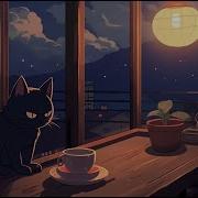 1 Hour Lofi Cat Relax With My Cat Sleep Relax Study Chill