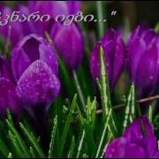 Damchknar Iebs დამჭკნარი იები Tako Meliqishvili