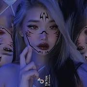 Hello Bitches Tiktok