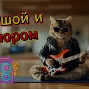 Пошёл На Йогу Там И Уснул Танцевальные Песни С Юмором Русская Музыка 2025