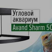 Угловой Аквариум Avand Sharm 50 150 Л Дуговой