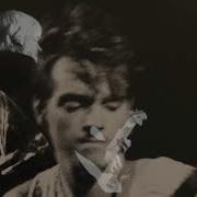 Fly Butterfly Neil Taylor