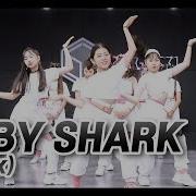 Stage631Kids Kidsdance 아기상어 Baby Shark Choreo By 마이라벨