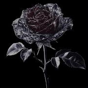Dirty Thought Ruby Darkrose