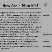 How Can A Plant Kill