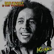 Bob Marley The Wailers Sun Is Shining