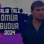 Talib Tale Omur Budur